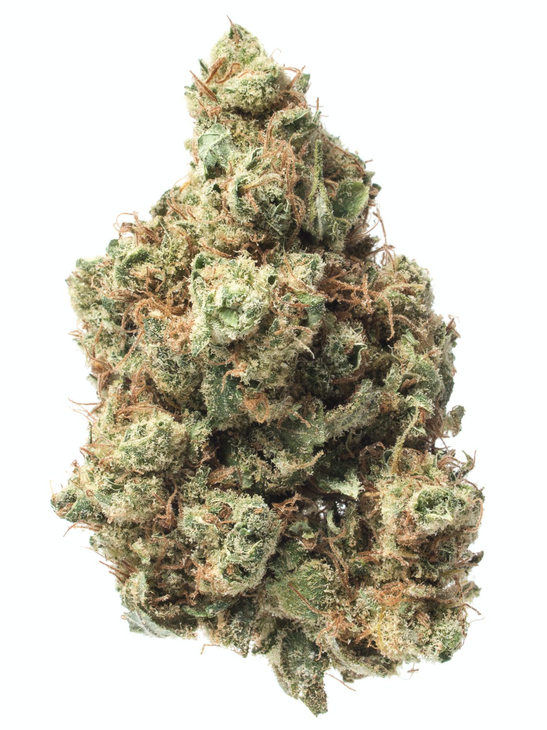 Maui Wowie 